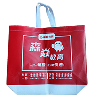 北海LB37培训班广告袋